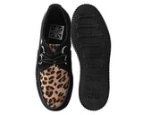 Black & Leopard Viva Low Creeper